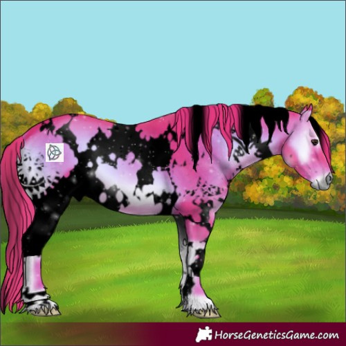 Horse Color:Void Watercolor White Spotted Red Onyx