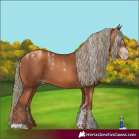 Horse Color:Powder White Gray Gold Champagne Mushroom 