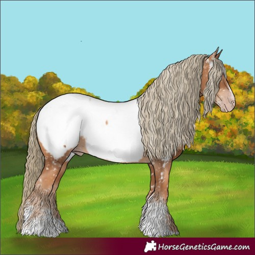 Horse Color:Powder White Gray Gold Champagne Mushroom Appaloosa