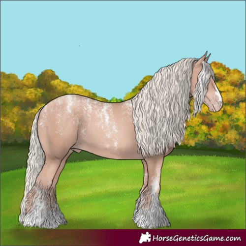 Horse Color:Powder White Gold Champagne Mushroom 
