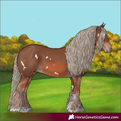 Horse Color:White Spotted Chestnut Mushroom