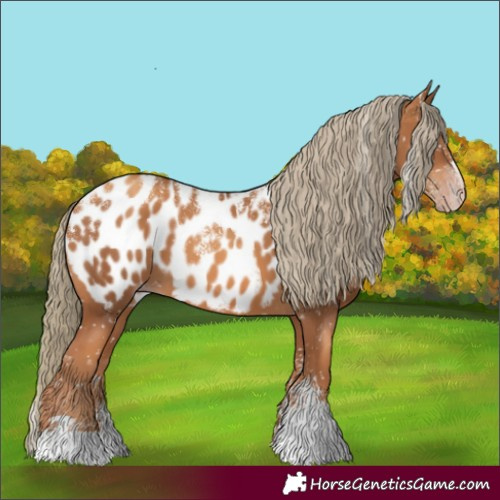 Horse Color:Powder White Gray Gold Champagne Mushroom Appaloosa