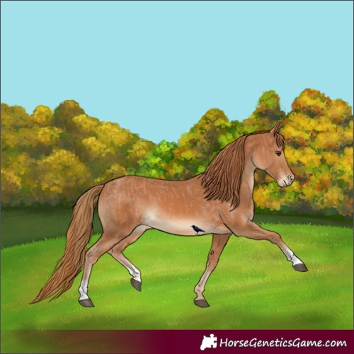 Horse Color:Chestnut Varnish  and Chestnut 