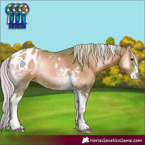 Horse Color:Watercolor Silver Blue Onyx Sabino Tobiano Appaloosa