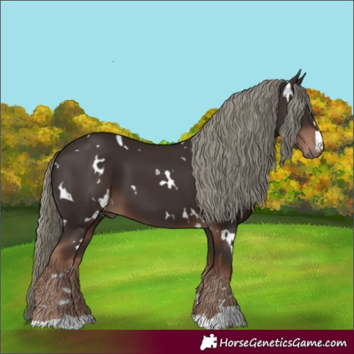 Horse Color:White Spotted Liver Chestnut Mushroom 