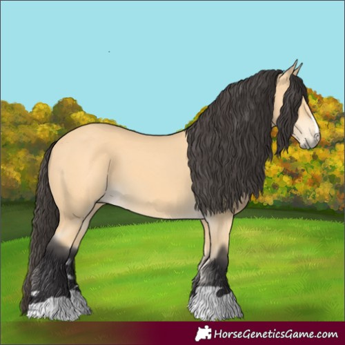 Horse Color:Unknown 