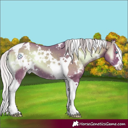 Horse Color:Watercolor White Spotted Silver Blue Onyx Splash Tobiano 