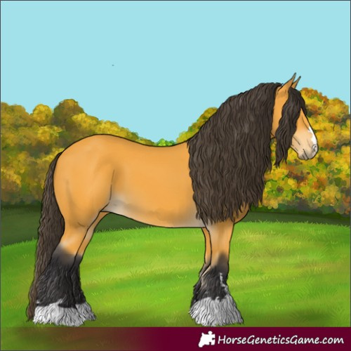 Horse Color:Unknown 