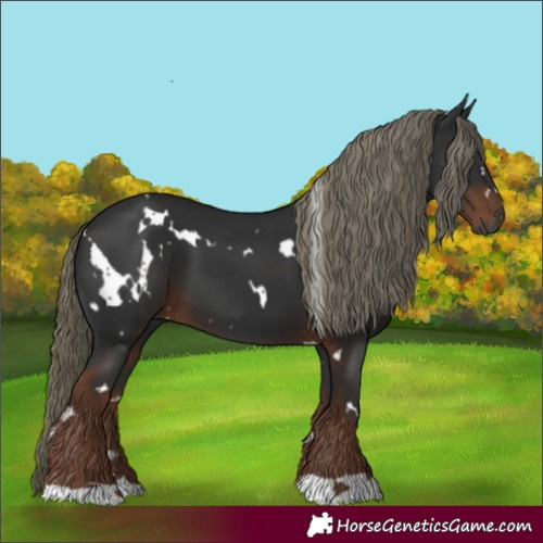 Horse Color:Gray White Spotted Liver Chestnut Mushroom