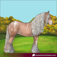 Horse Color:Powder White Gold Champagne Mushroom
