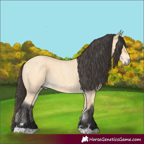 Horse Color:Unknown 