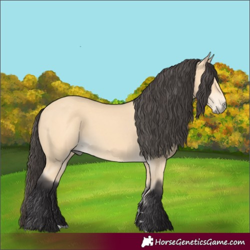 Horse Color:Unknown 