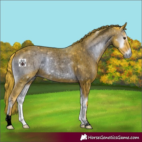 Horse Color:Void Watercolor Red Onyx Roan 