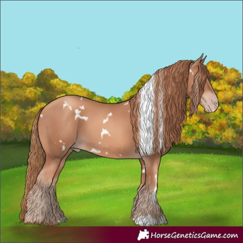 Horse Color:White Spotted Gold Champagne