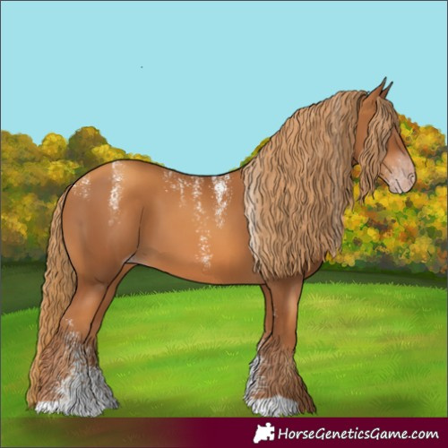 Horse Color:Powder White Gray Gold Champagne Appaloosa