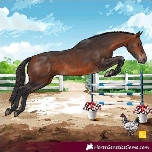 Horse Color:Bay 
