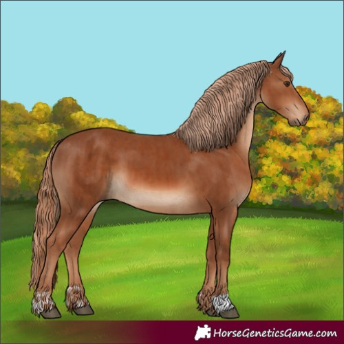 Horse Color:Chestnut  and Chestnut 