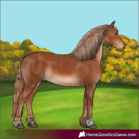 Horse Color:Chestnut  and Chestnut 