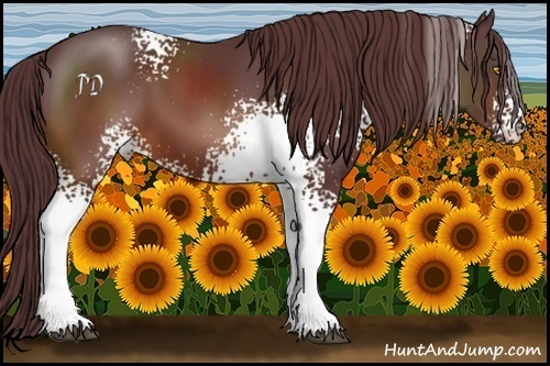 Horse Color:White Spotted Chocolate Brown