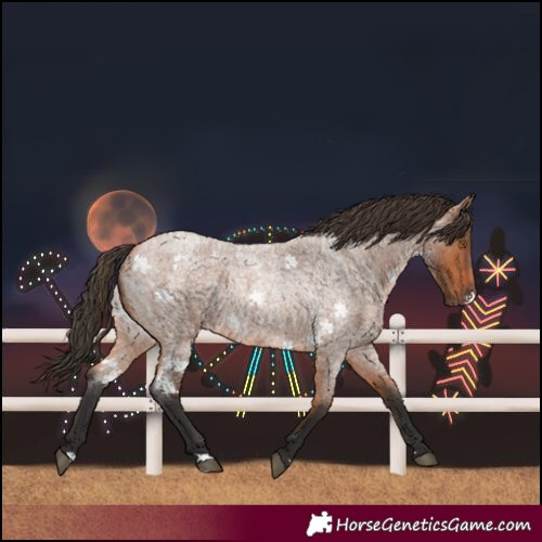 Horse Color:Bay Roan Rabicano