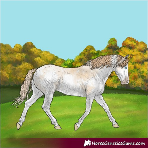 Horse Color:White Spotted Bay Snowdrop Pearl Splash
