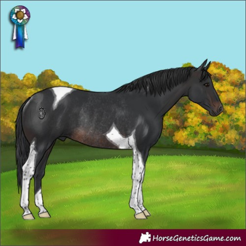 Horse Color:Brown Tobiano Rabicano