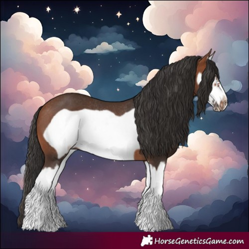 Horse Color:Bay Splash Frame Rabicano