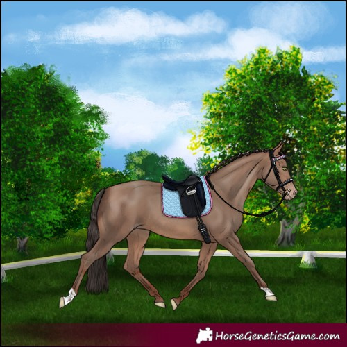 Horse Color:Sable Champagne