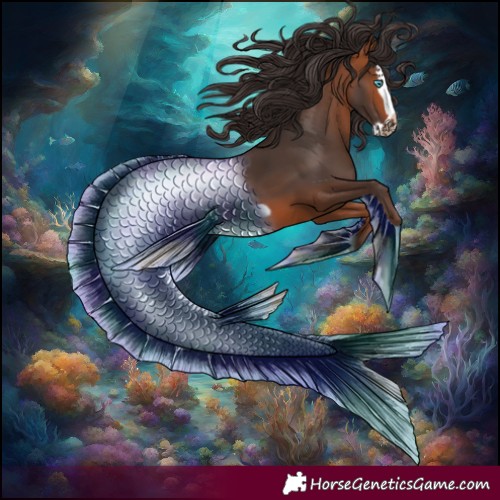 Horse Color:Bay Splash Frame Rabicano 