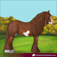 Horse Color:Chestnut Frame 