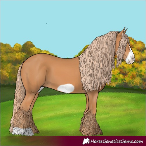Horse Color:Chestnut Frame 