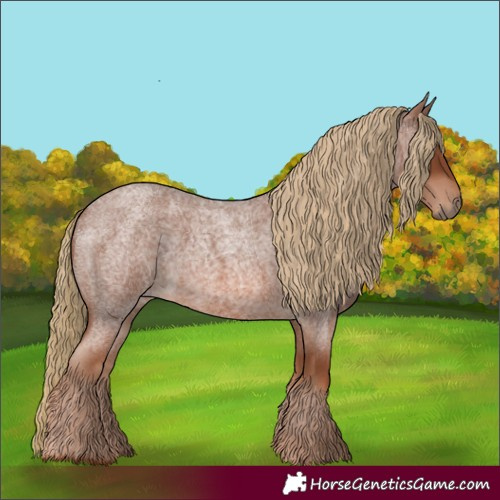 Horse Color:Red Roan Frame 