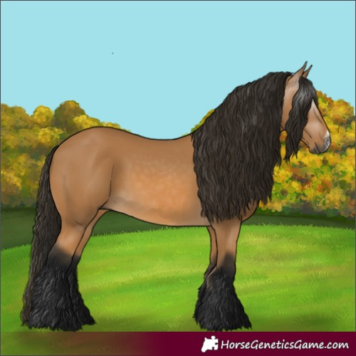 Horse Color:Gray Buckskin Frame 