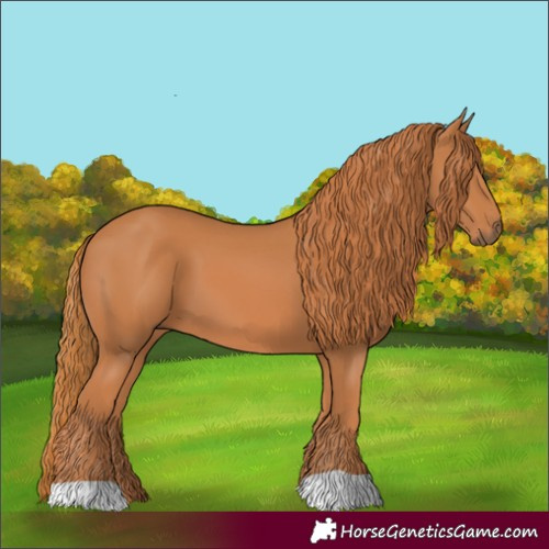 Horse Color:Chestnut 