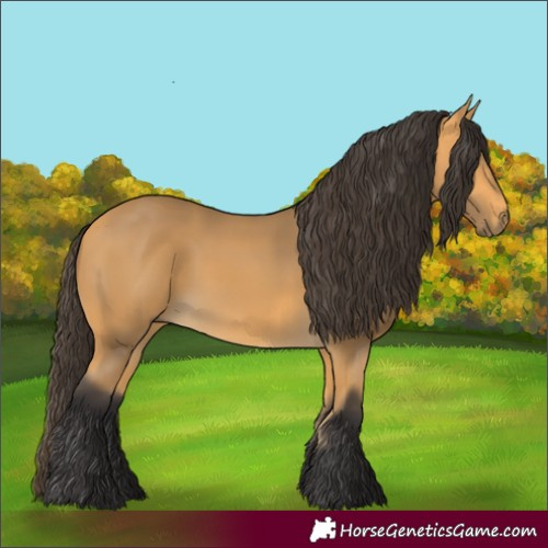 Horse Color:Buckskin 