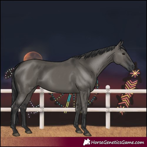 Horse Color:Grullo 