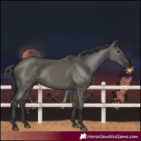 Horse Color:Grullo