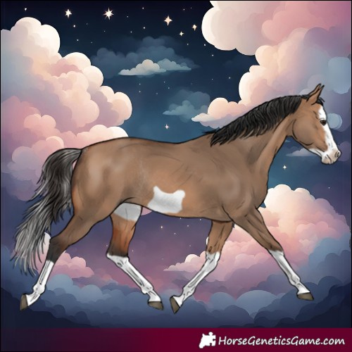 Horse Color:Bay Dun Splash Frame Rabicano 
