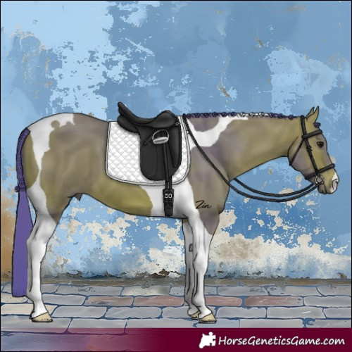 Horse Color:Watercolor Bay Tobiano 