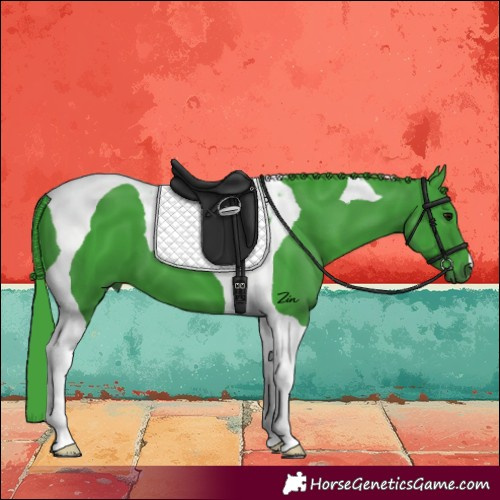 Horse Color:Watercolor Smoky Black Tobiano