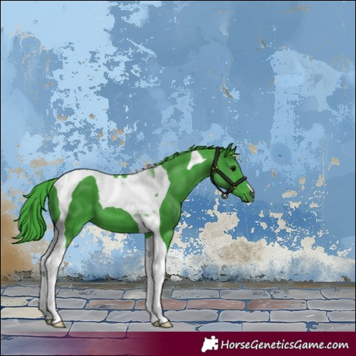 Horse Color:Watercolor Smoky Black Tobiano 