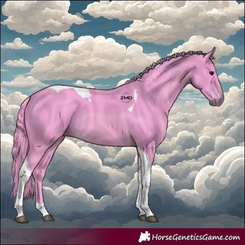 Horse Color:Watercolor Bay Tobiano
