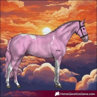 Horse Color:Watercolor Bay Tobiano