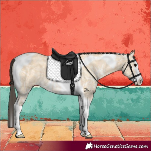 Horse Color:Buckskin Ice Splash Tobiano
