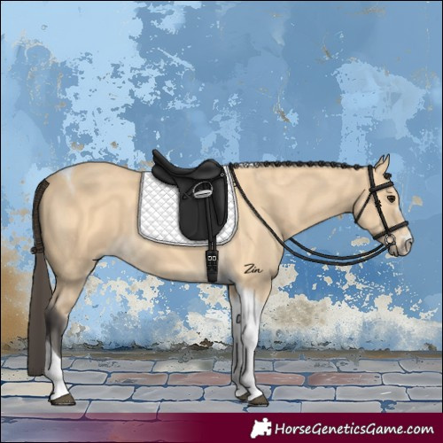 Horse Color:Buckskin Tobiano