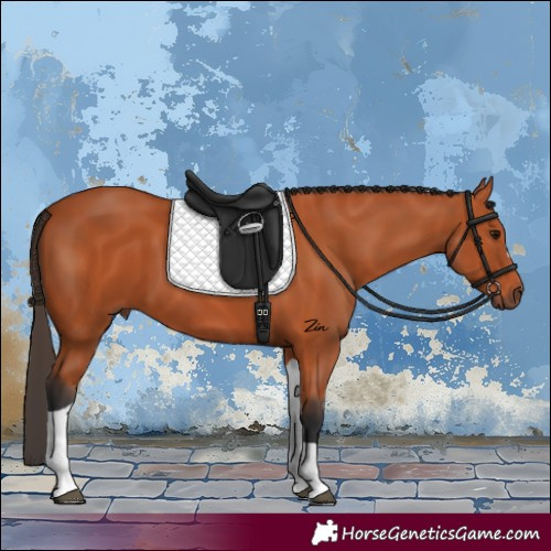 Horse Color:Bay Tobiano
