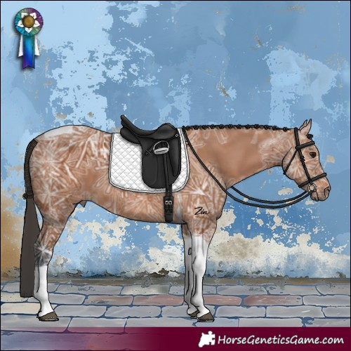 Horse Color:Bay Ice Tobiano