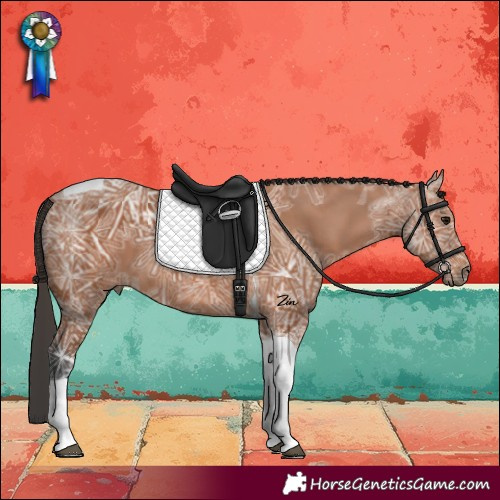 Horse Color:Bay Ice Tobiano