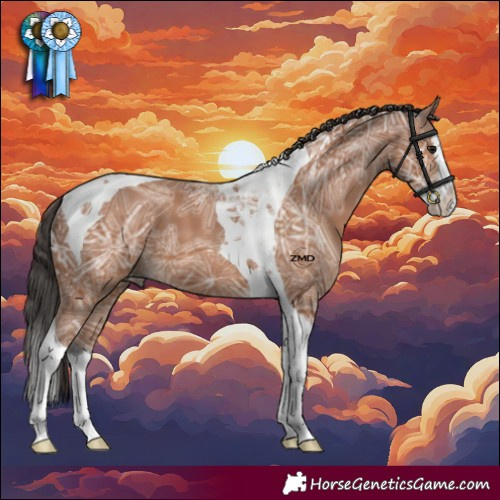 Horse Color:Bay Ice Splash Tobiano 