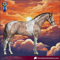 Horse Color:Bay Ice Splash Tobiano